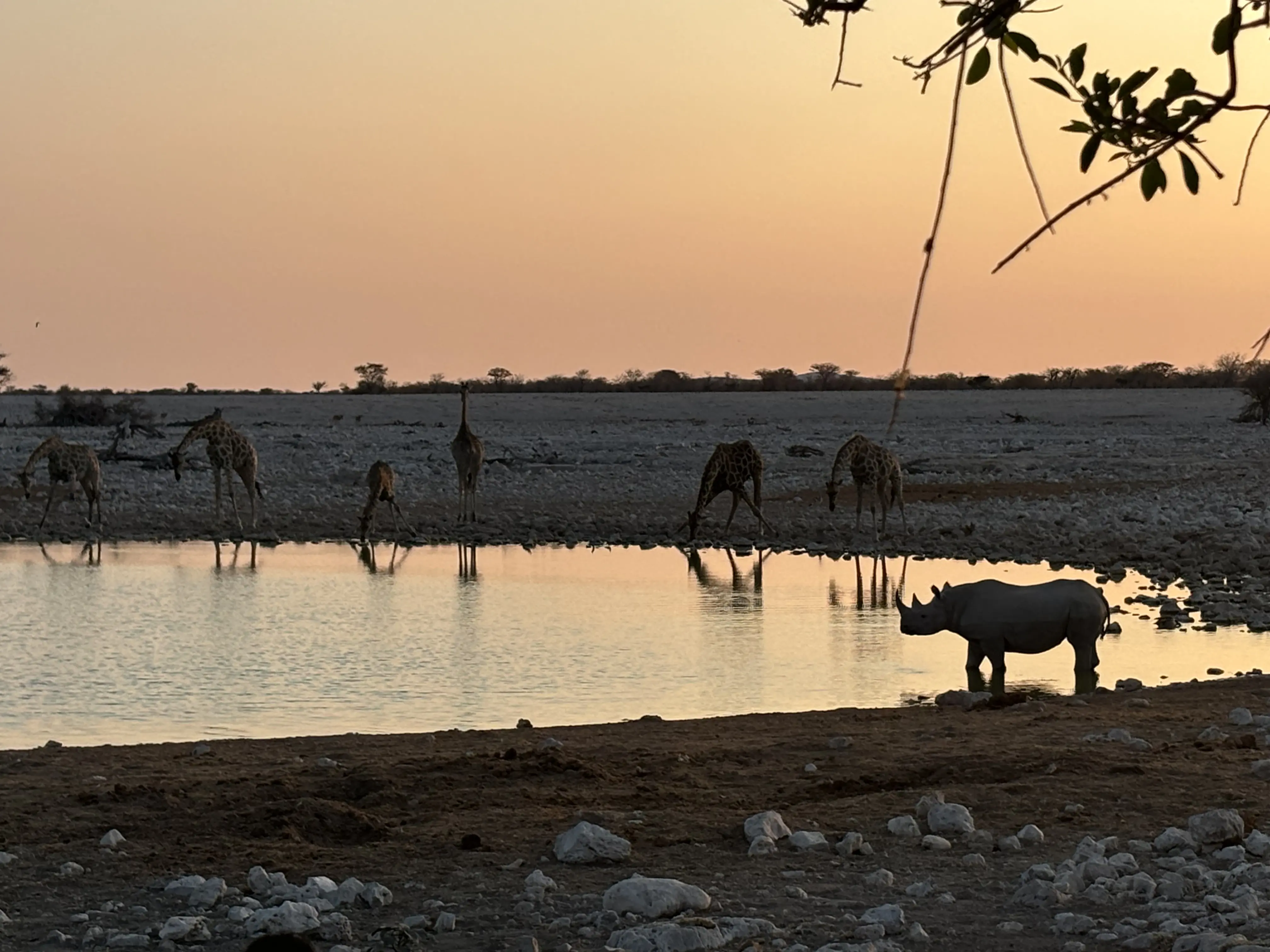 Namibia, Japan & Taiwan